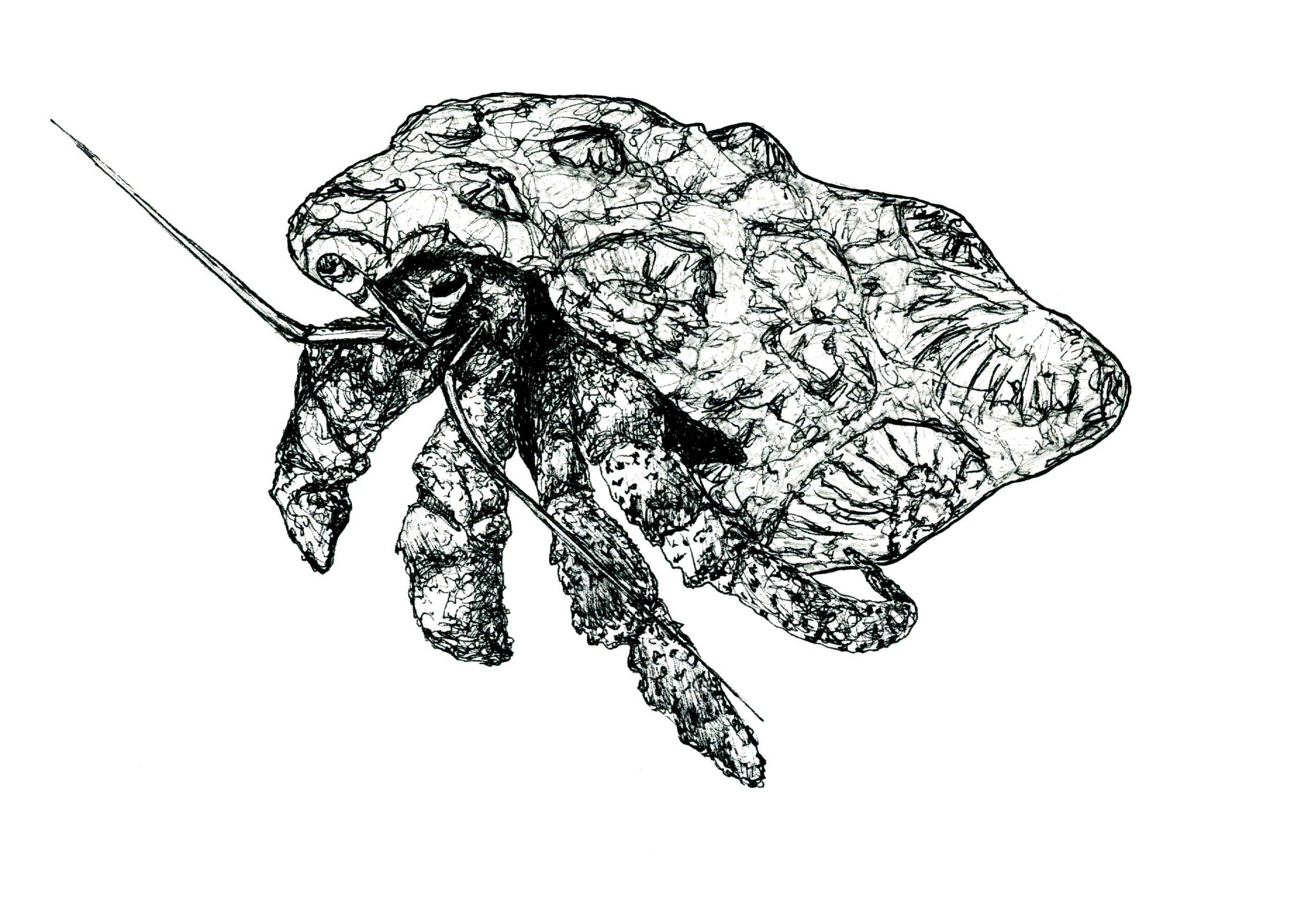 Especies peligrosas